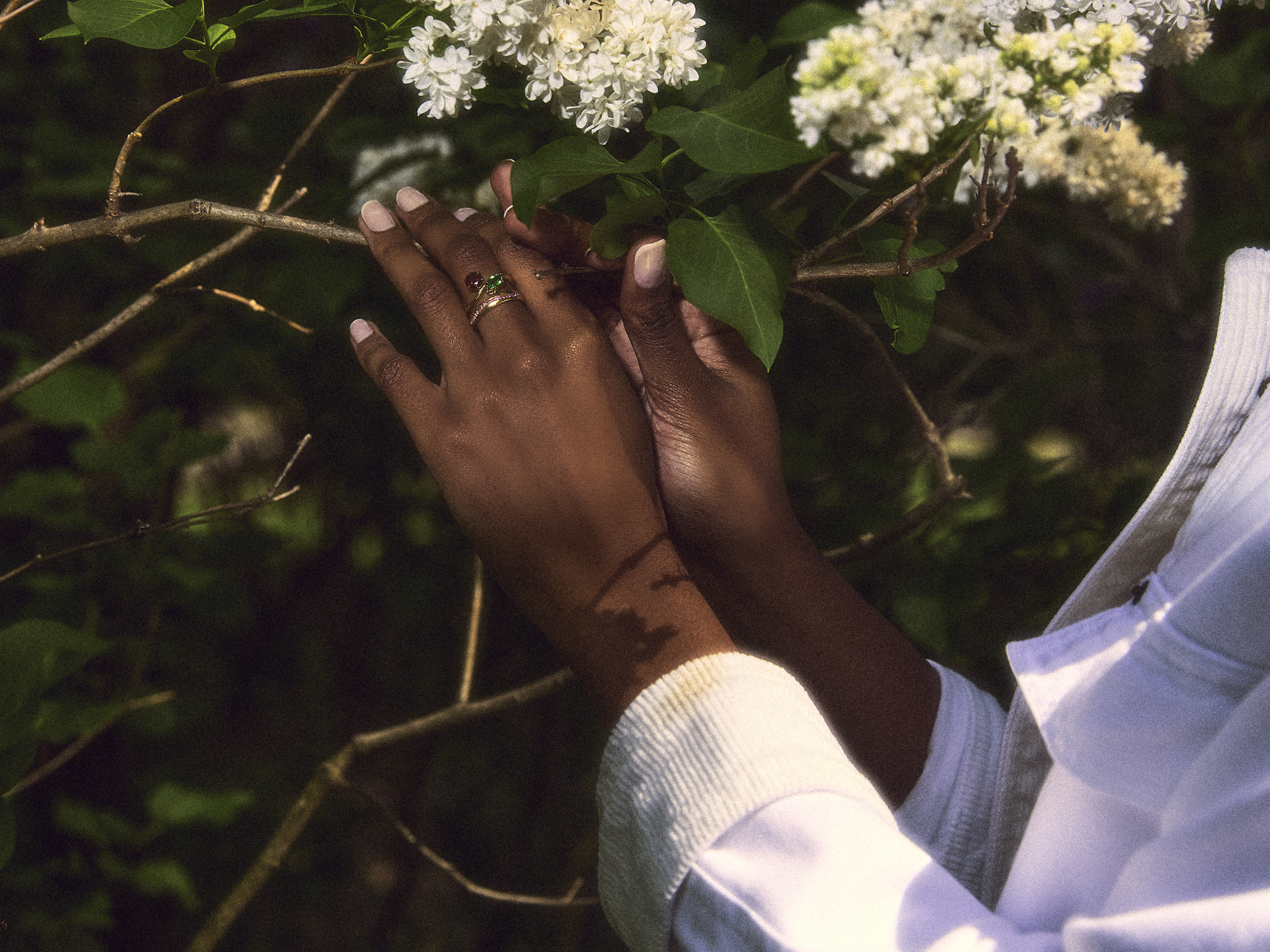 lauren nakao winn, photography, still live, product photography