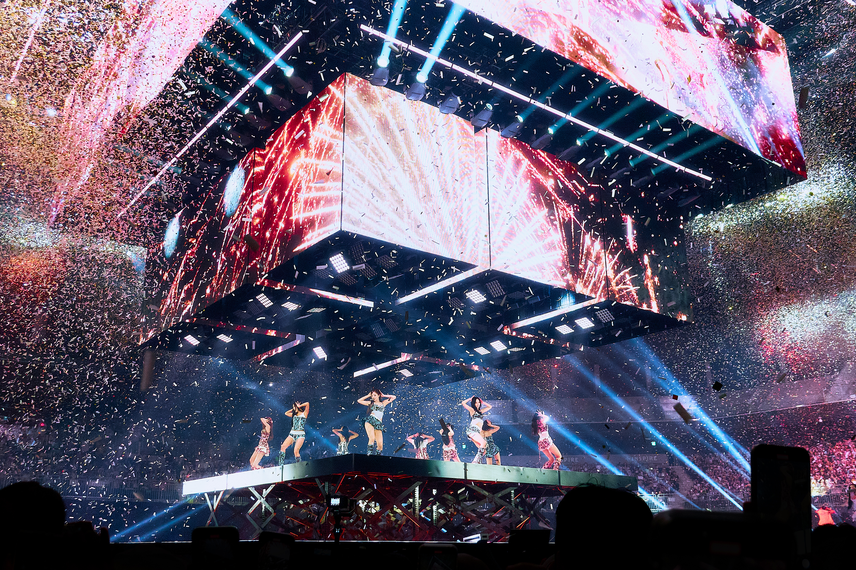 lauren nakao winn, photography, TWICE