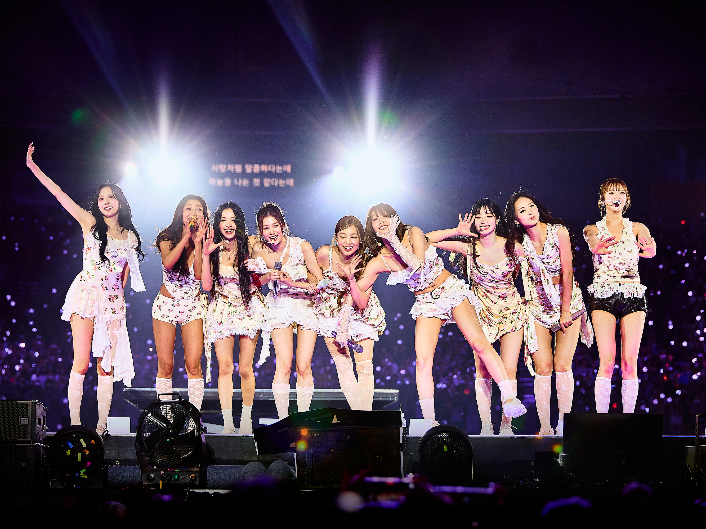 lauren nakao winn, photography, TWICE